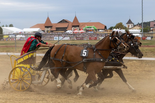 在巴萨更衣 在巴萨更衣