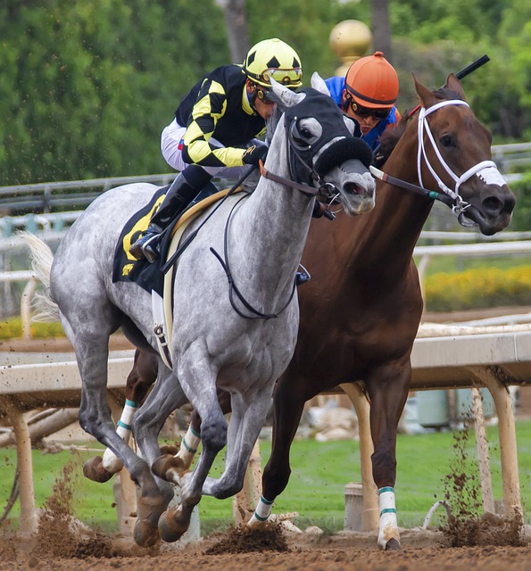 关注的方面 关注的方面