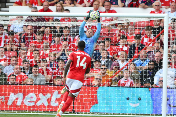 无畏的精神 无畏的精神